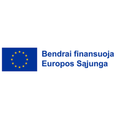 ES projektai